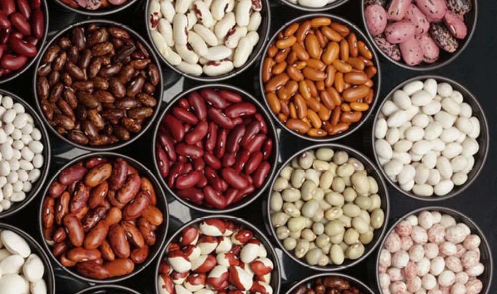 Продам квасолю є всі види