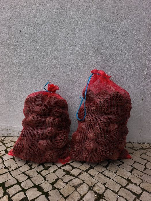 Saco de pinhas 6€ = 5kg