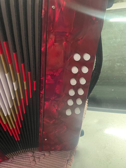Vendo Concertina Nova