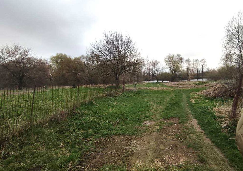 Продам ділянку 6 сот під будівництво поруч сосновий ліс, р. П. Буг