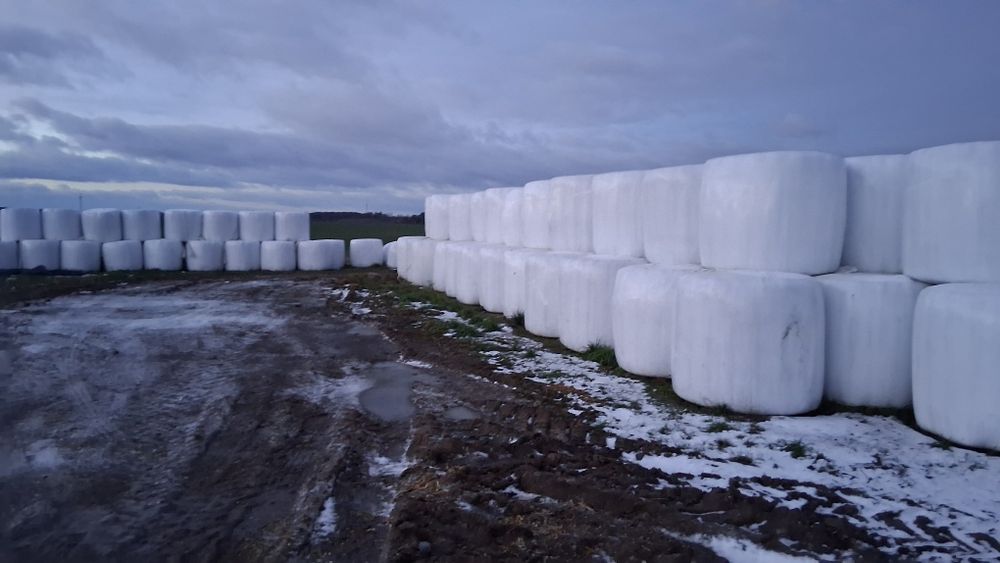 Sianokiszonka z lucerny ilości samochodowe