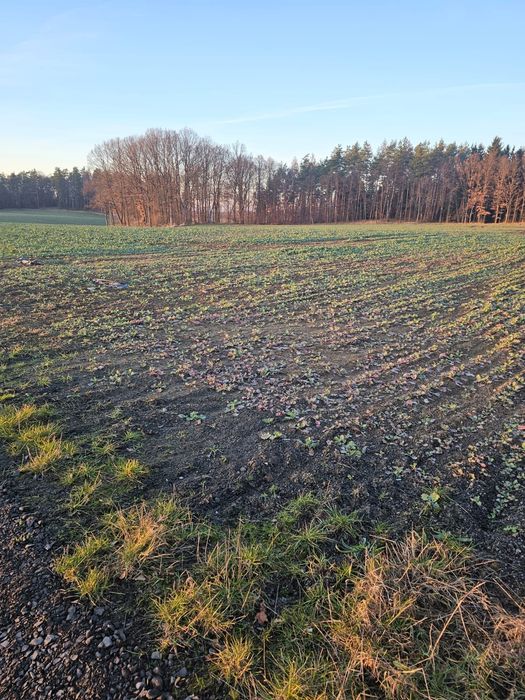 Działka budowlana w spokojnej okolicy - Widok 2
