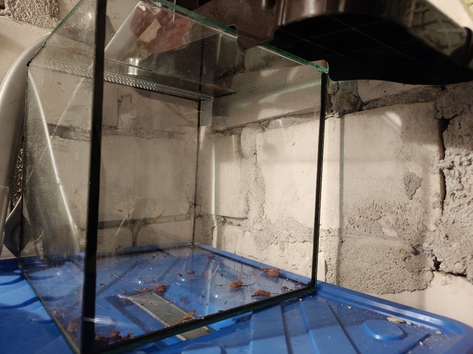 Terrarium na sprzedaż