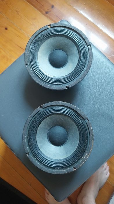 Colunas/Woofers 16cm Sony