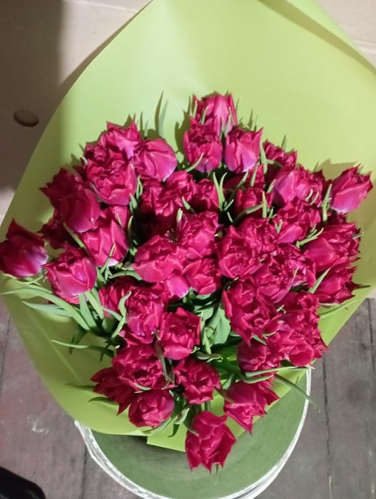 Продам тюльпаны, Квитка  оптом  к 8 марта