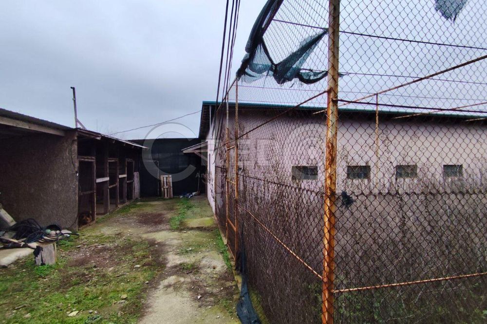 с.Надія (Радгоспне) Великий будинок + фермерське господарство