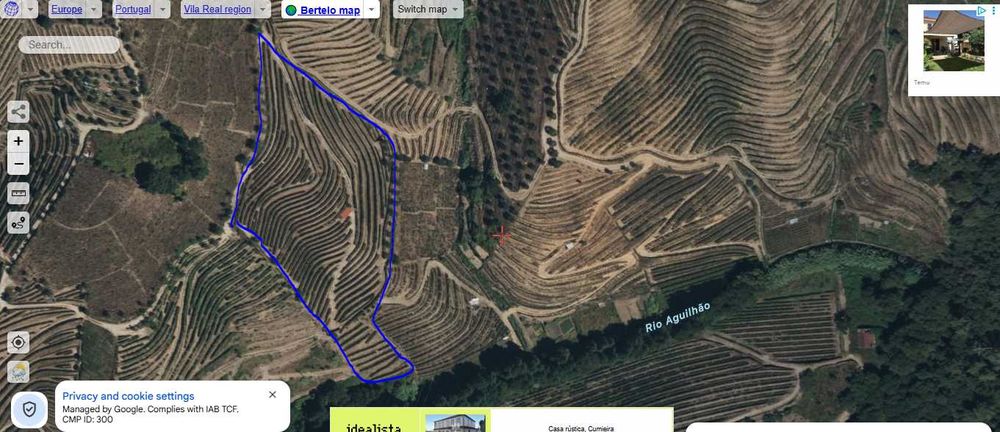 Vinha na região do Douro - Bertêlo