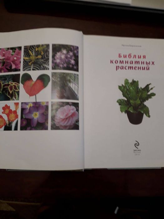 Біблія кімнатних рослин