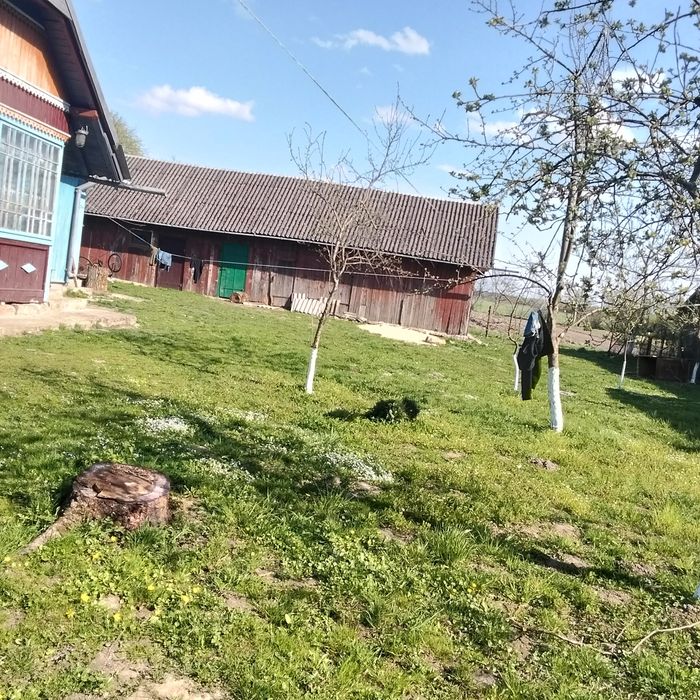 Продам хату львівська обл