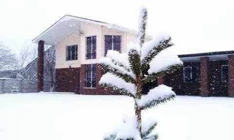 Аренда дома 230м2 4к 20 соток с. Шевченко