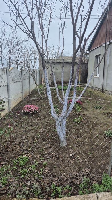 Продається будинок в селі Підлісне Новоодеського району !