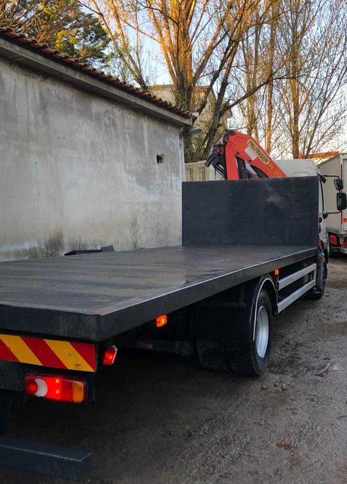 Daf LF 55 camião grua em estrado Palfinger
