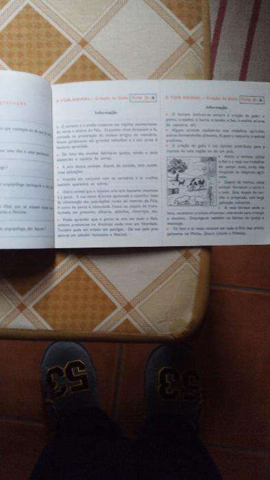 livros escolares de 1975 a 1977