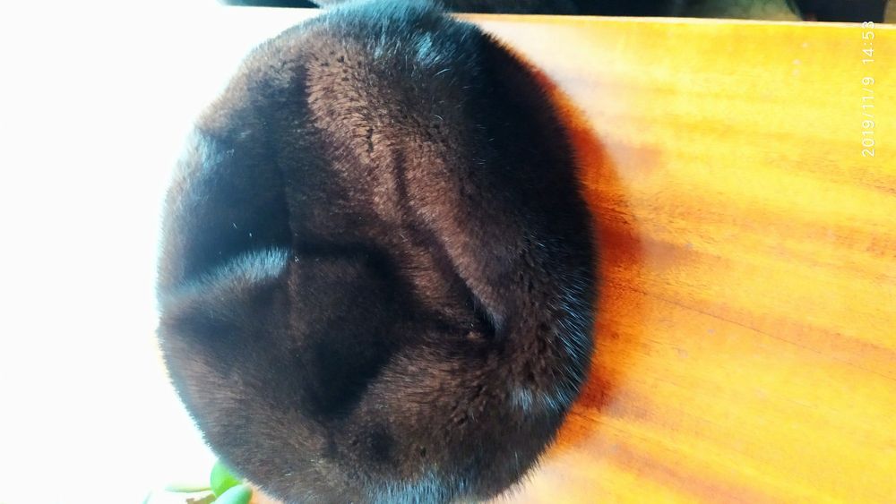 Берет норка женский качественный НОВЫЙ