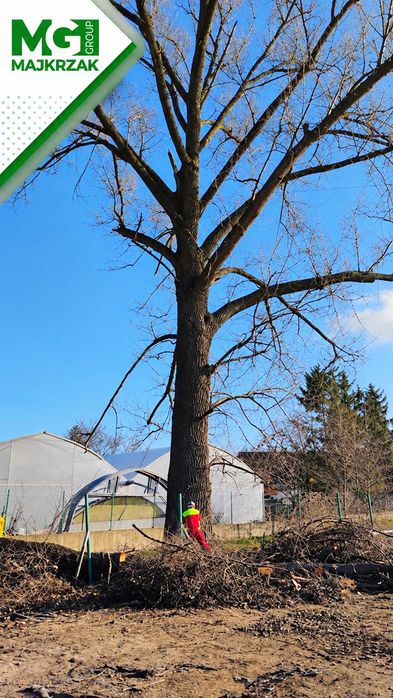 Wycinka drzew | Alpinistyczna wycinka drzew | Usuwanie drzew trudnych |Usuwanie drzew z działki | Dzierżoniów, Ząbkowice, Wałbrzych, Świdnica, Bielawa