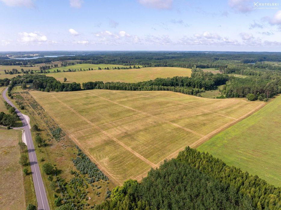 Piękna działka koło Ińska (3.000 m2)