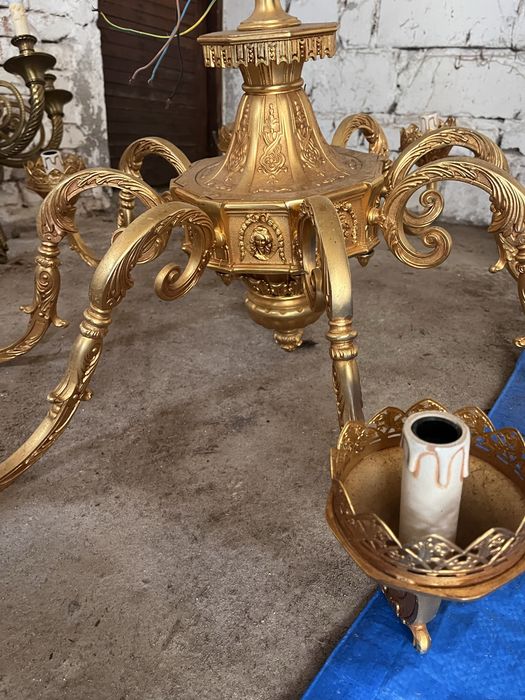 Żylandor piekny bardzo duży!!