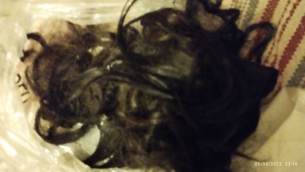 Vários tipos de cabelo