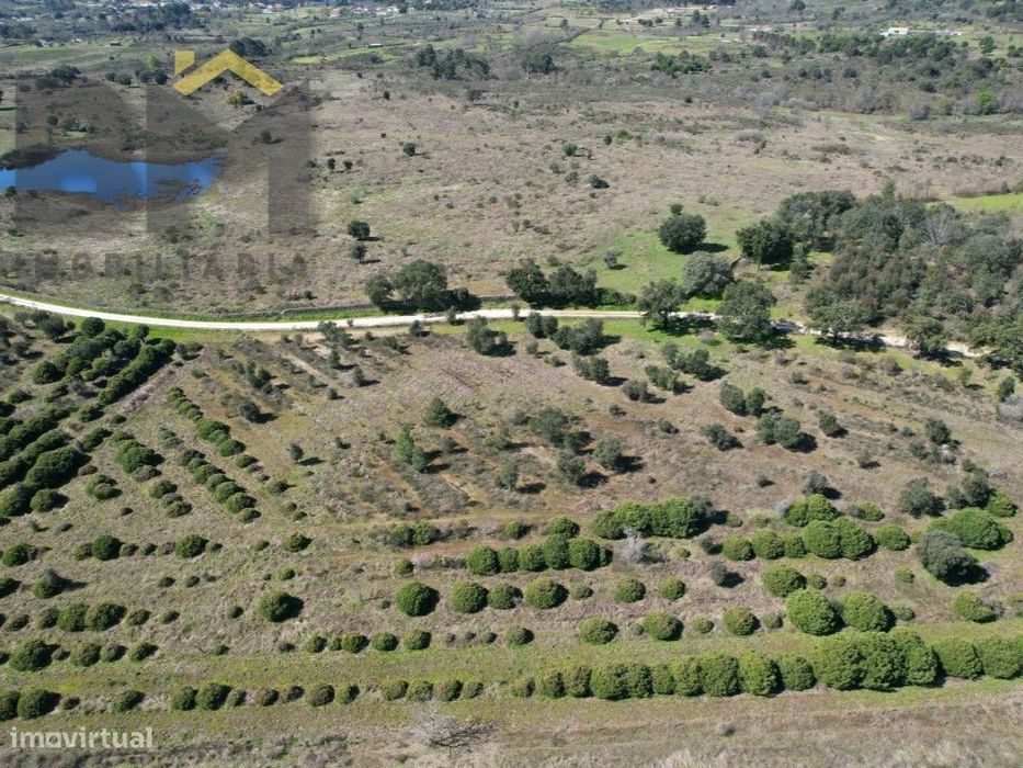 Terreno de 5,3 Hectares na Aldeia de Águas - Penamacor