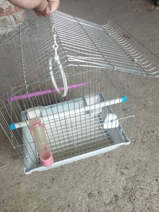 Клідка для попугая