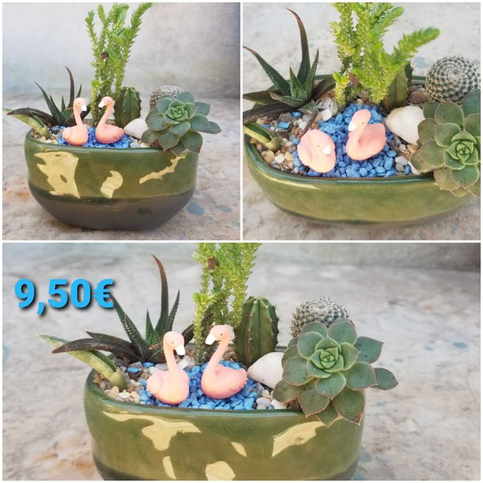 Arranjos de Suculentas