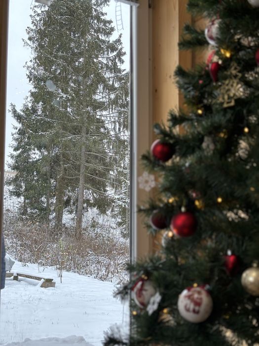 Котедж Armat  Волосянка Будинок оренда Волосянка Славське