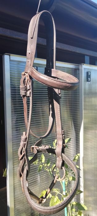 Uzda z prawdziwej skóry, zaprzęg, bryczka