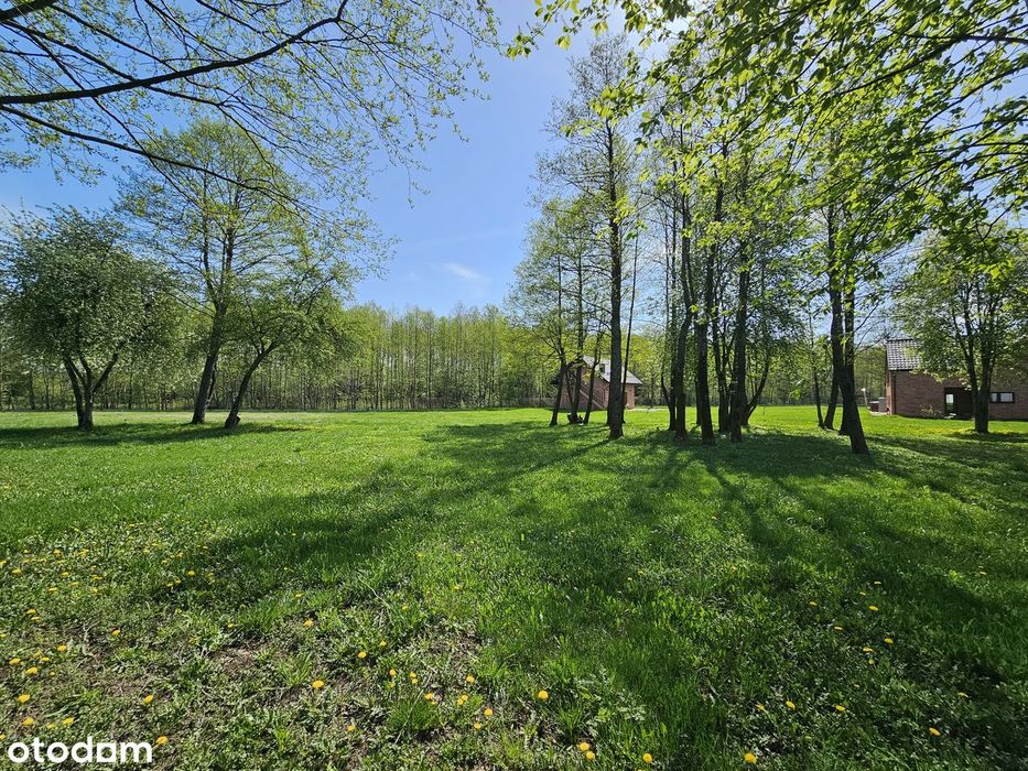 Działka na prywatnym osiedlu Dargin Mamry Harsz 30 arów 3000 m² Mazury - Widok 2