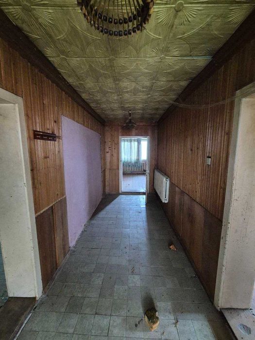 Продаються два будинки на просторій ділянці 25 соток в с. Бедевля
