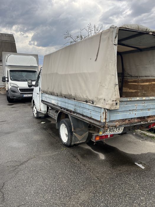 Газель  як нова