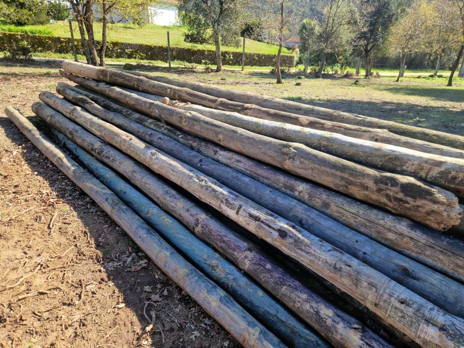 Postes telefone de madeira tratada