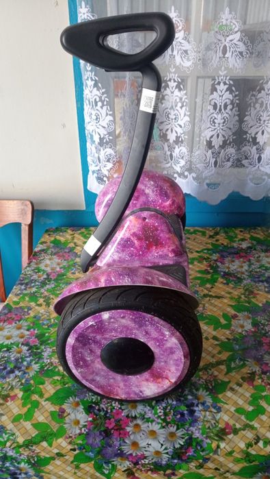 Сигвей (Ninebot)