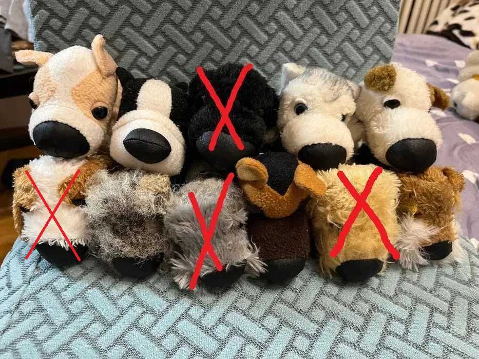 Котики собачки The dog collection, The cat collection, м'які іграшки
