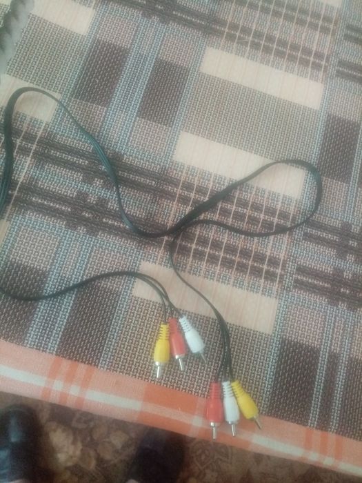 Продам тюльпаны для телевизоров