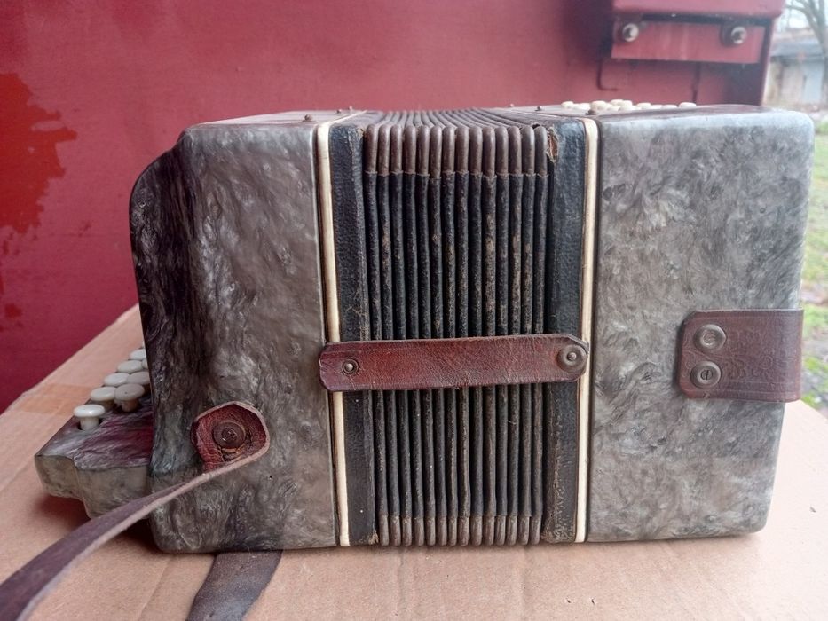 Гармонь гармошка Весна или Украина