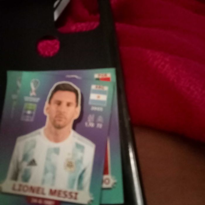 Cadernetas cromos da copa
