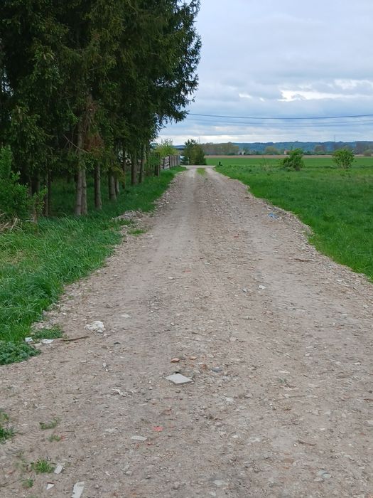 Pole Rolne Glinki