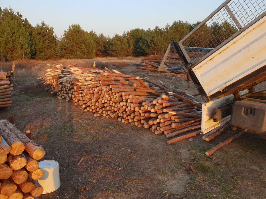 PALIKI - MELIORACJA faszyna i palisada, kołki, pale L=0,8 - 3,0m