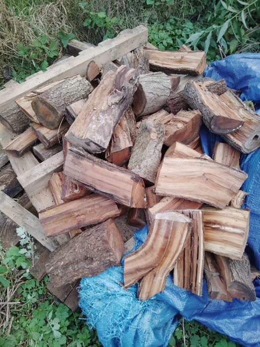 Drewno do wedzenia sliwka