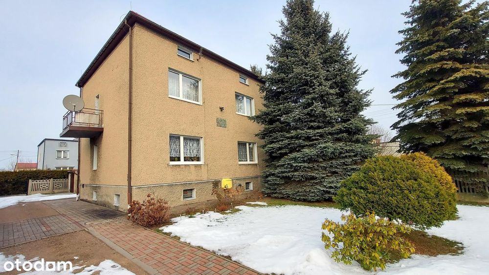 Przytulny dom w pobliżu lasu