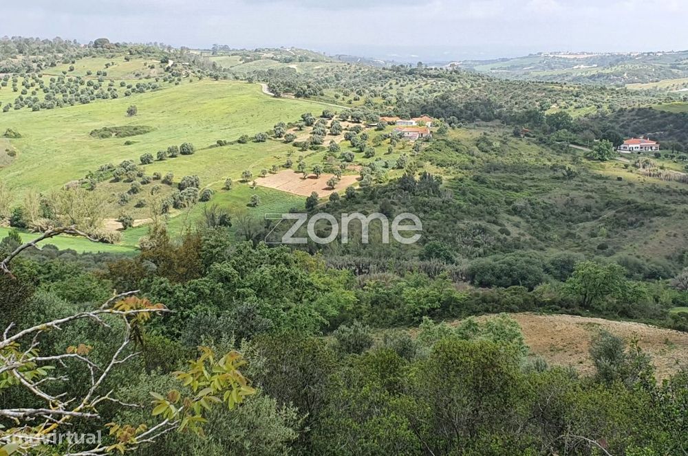 Terreno Rústico Urbanizável 19.680m2 Quinta do Carvalhal Rio Maior