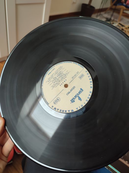 Płyta gramofonowa vinyl winyl Krzak Blues Rock Band