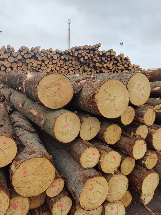 Stęple budowlane słupki drewniane żerdzie