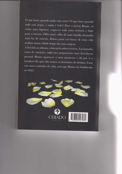 Bruno, um caminho de vida - Sandra Soares