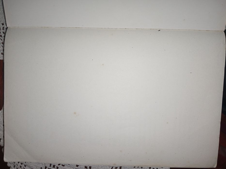 Livro "O fim da Solidão"