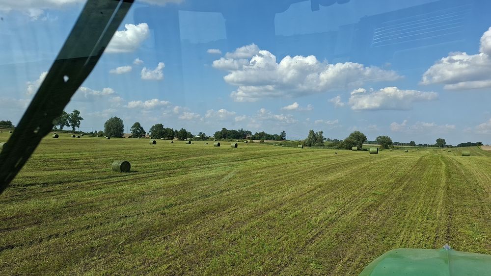 Sianokiszonka z lucerny