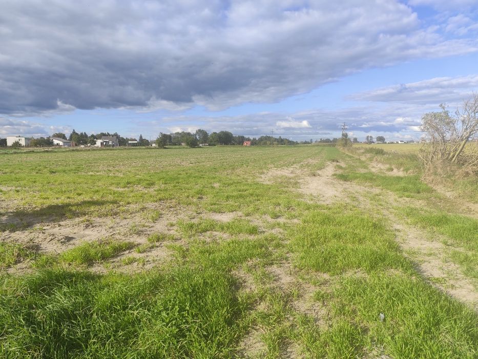 Działka rolna Osiek koło Brodnicy 80 arów