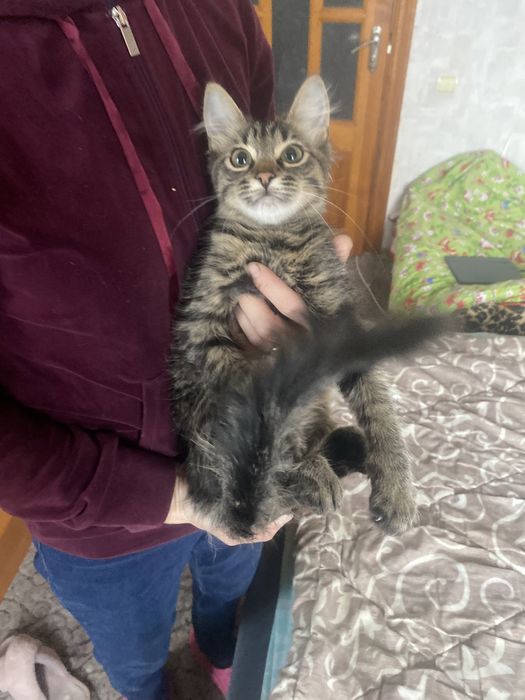 Лучший родарочек