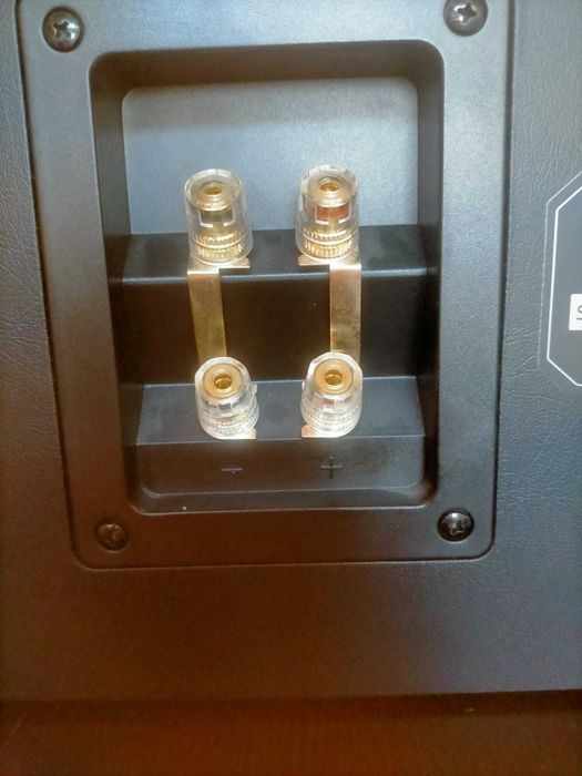 Coluna Central Emotiva C1