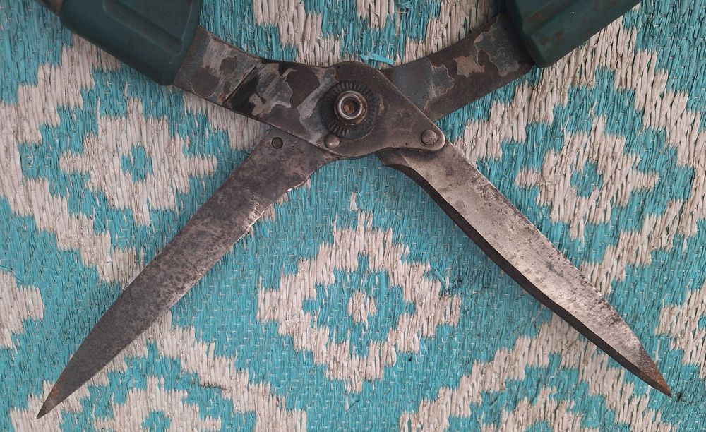 Stare Nożyce do przycinania żywopłotu itp WYSYŁAM Olx